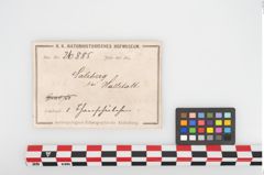 Etikett zu Schale (NHMW-PRAE-026885)